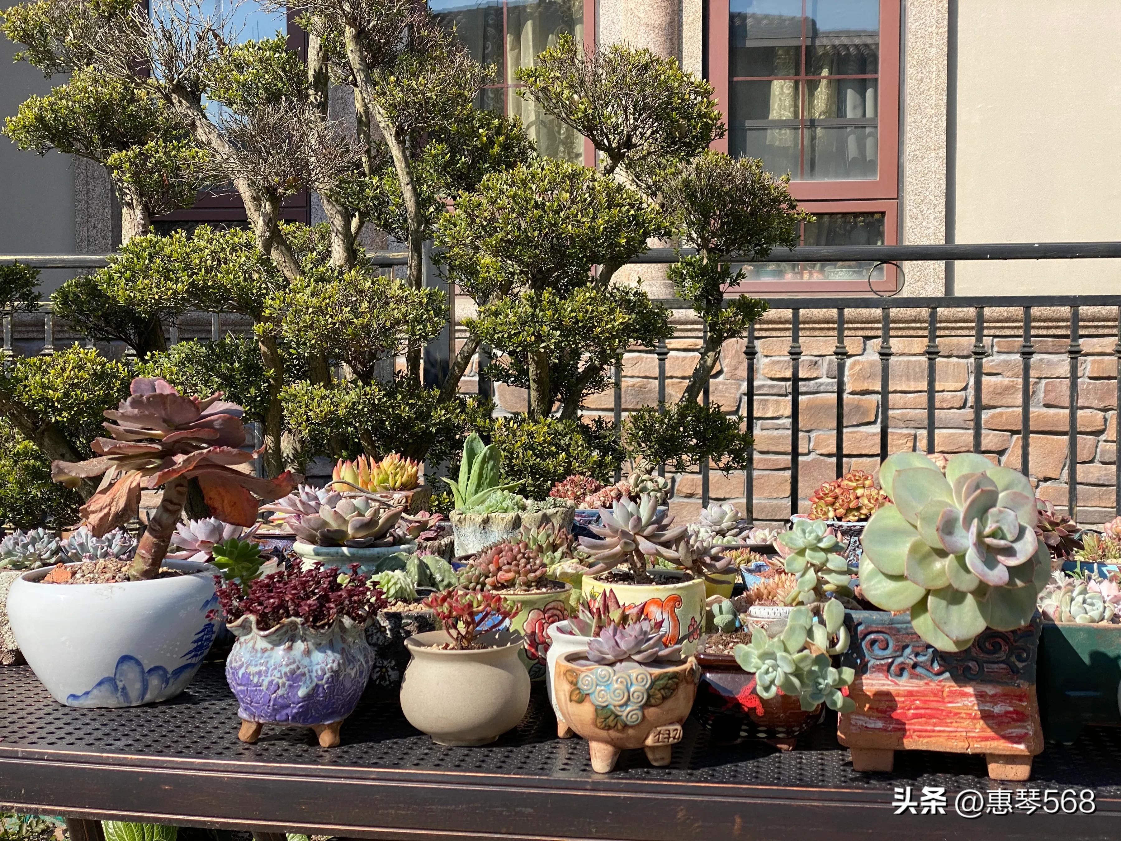 我的照片全部删了怎么找回来,我的照片图库在哪里