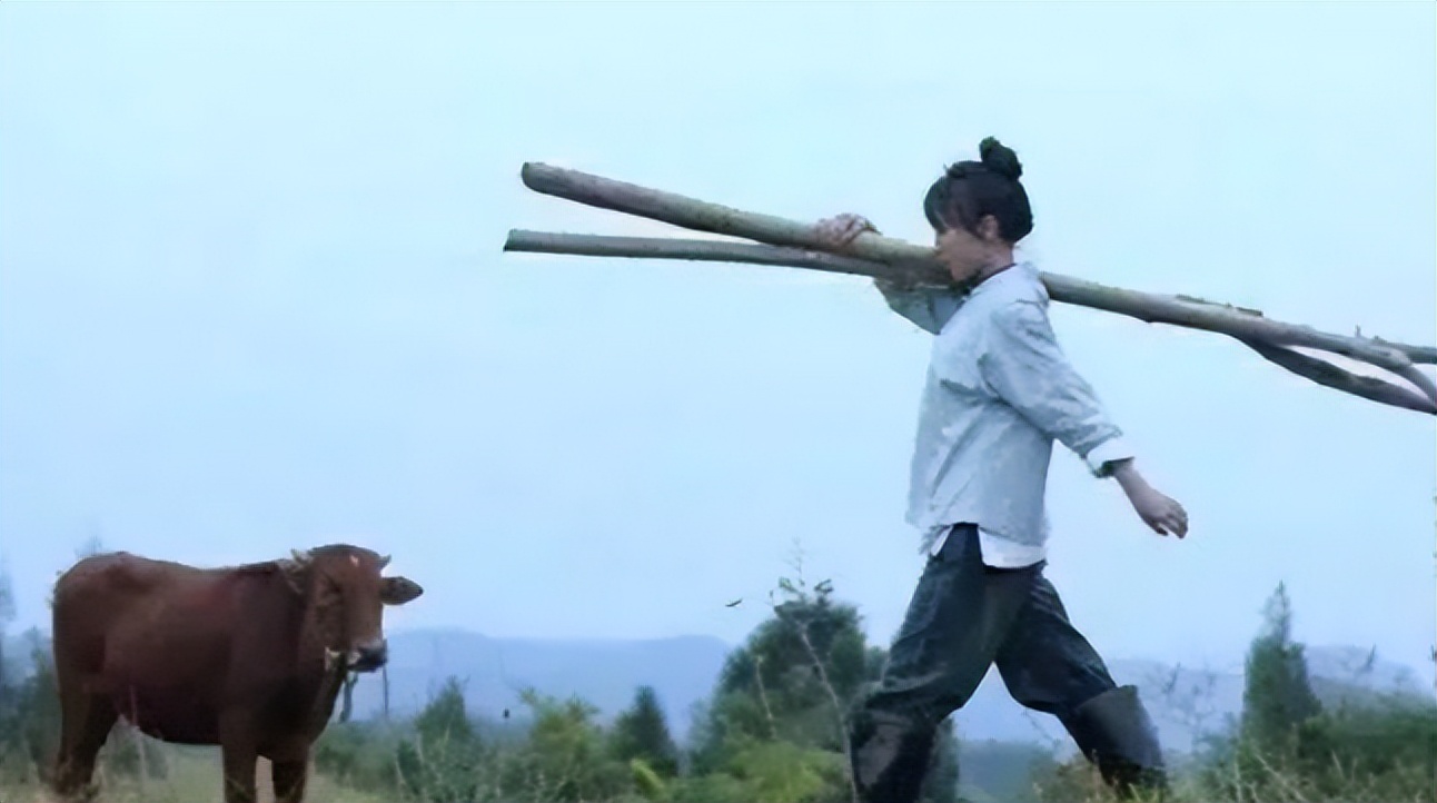 李子柒视频最新外网评论,李子柒最新视频外网评论