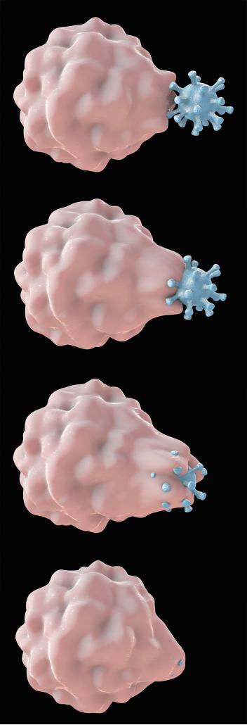 鍏嶇柅绯荤粺娌荤枟鐤剧梾,鍏嶇柅绯荤粺鍦ㄧ嚎鍖荤敓