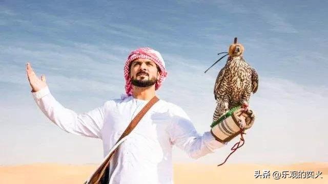 卡塔尔和迪拜哪个国家有钱,迪拜和卡塔尔哪个有钱