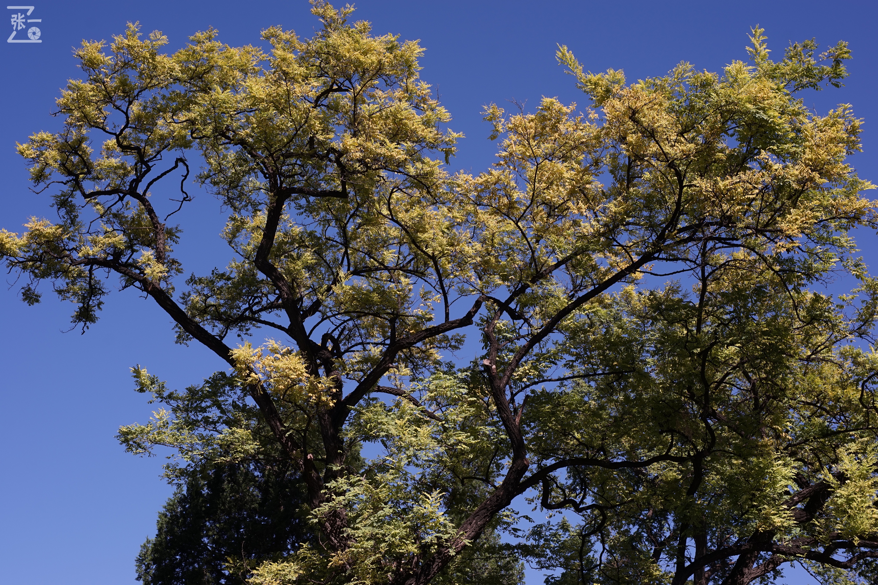老镜头实拍,老镜头拍北京