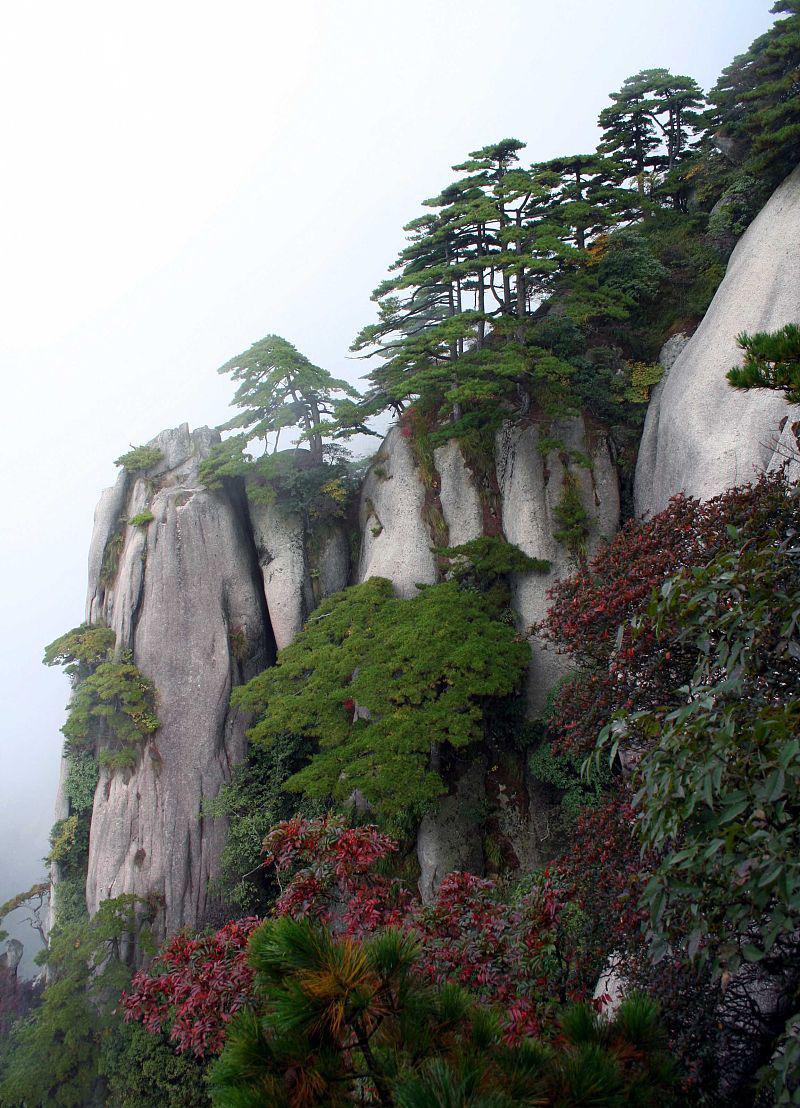 9块9玩转国家5a级景区,细数那些适合带孩子玩的免费景区