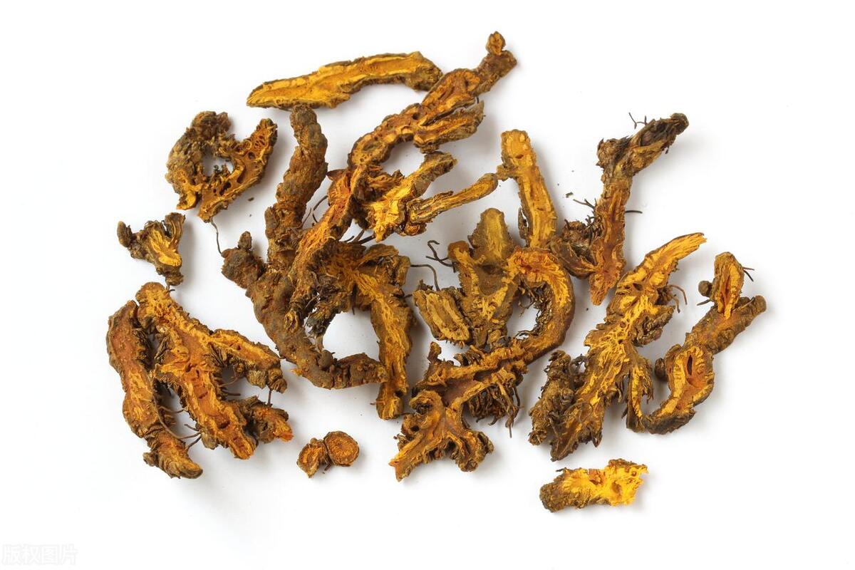 黄连清热,黄连清热燥湿是什么意思