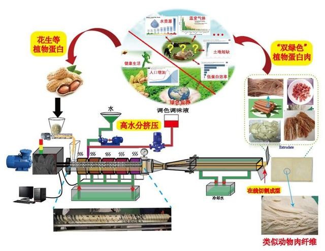 欺人太甚！美国人超市抢购，自己不买植物肉，却想给中国人推销