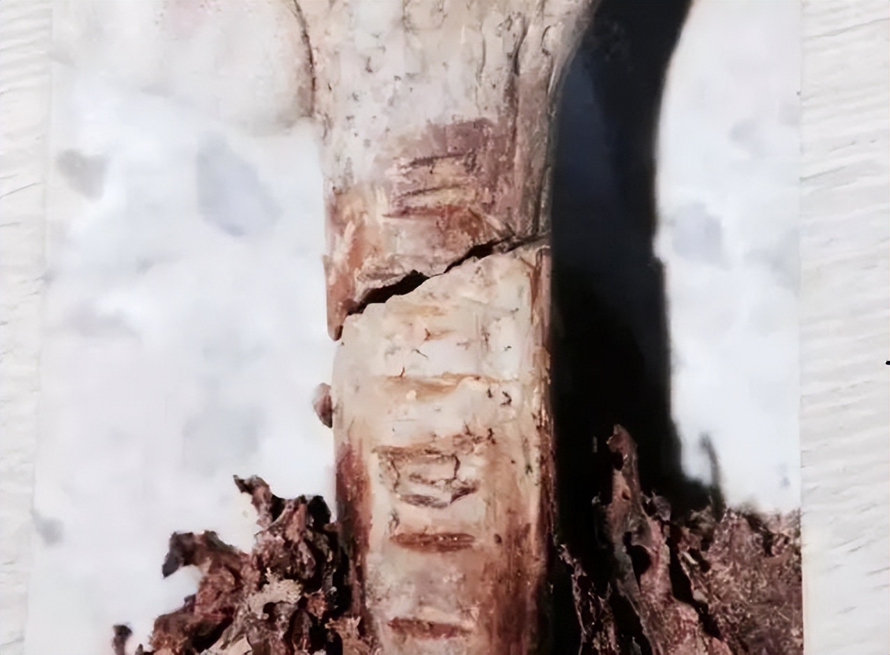 浙江慈溪杀人藏尸案徐丹出狱了吗,慈溪阁楼白骨案徐丹近况