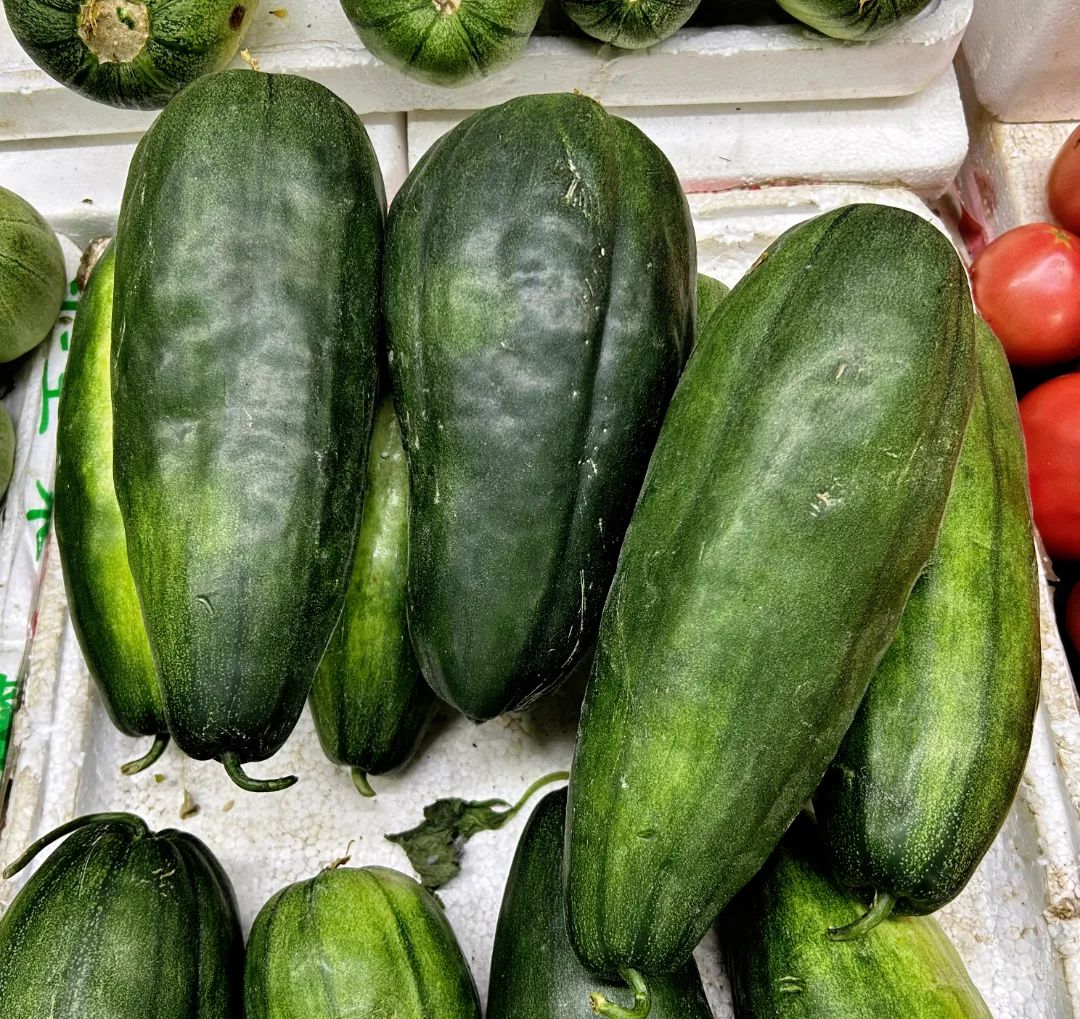 道仙草｜水瓜的“水分”