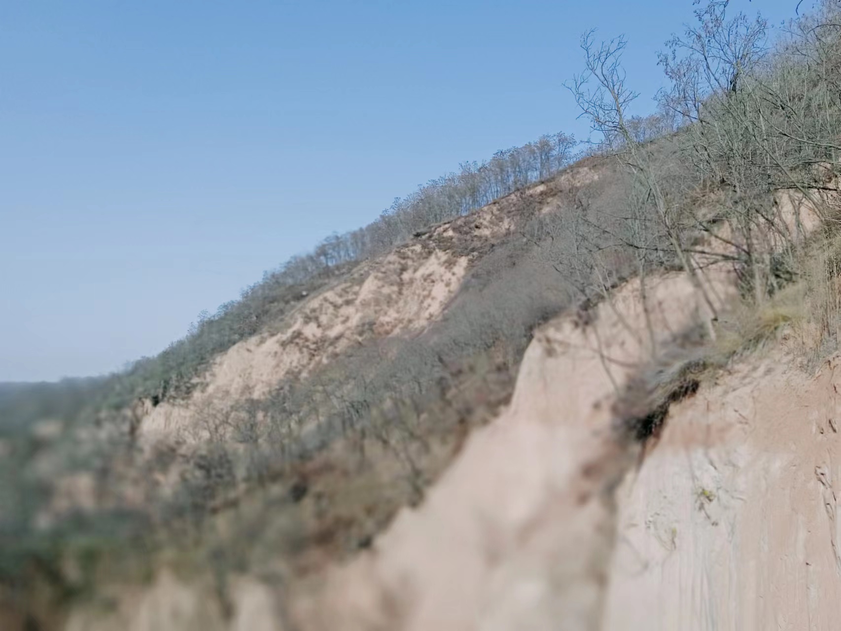 古树、土塔、苍柏、沟壑……