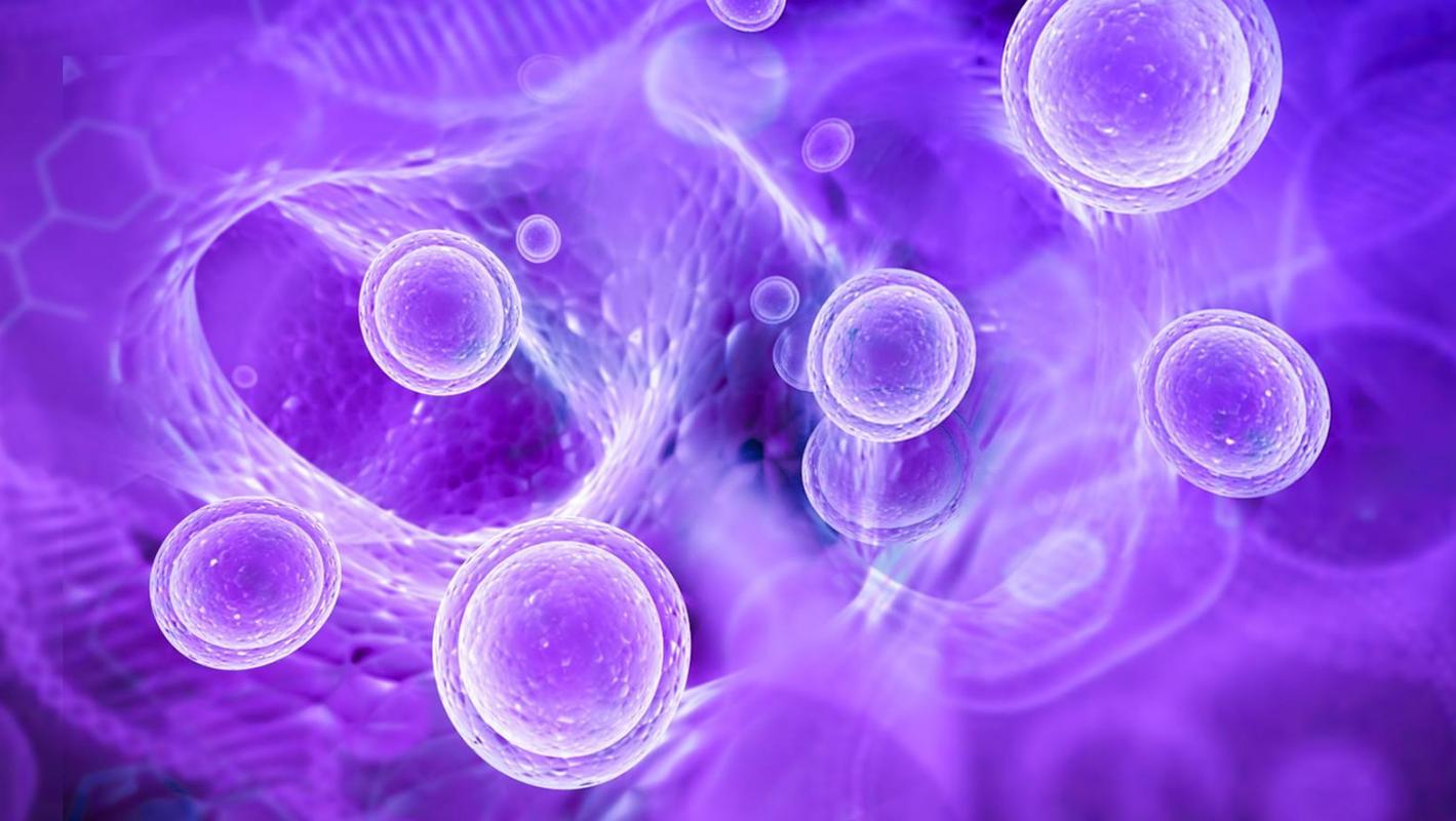 生殖器疱疹引起哪些危害,生殖器疱疹会引起身体哪些不适