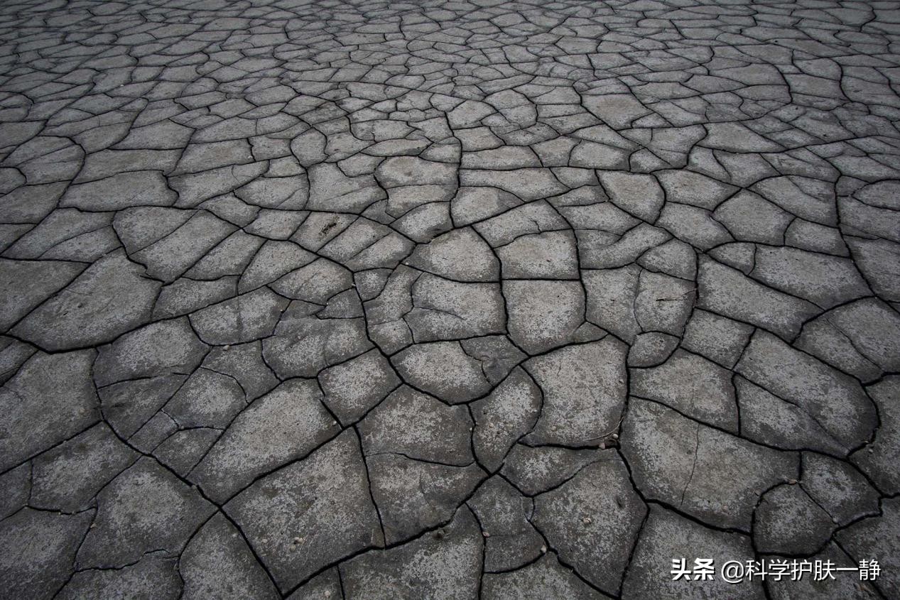 肌肤屏障修复和玻尿酸精粹养护,玻尿酸精华和什么面霜搭配是王炸