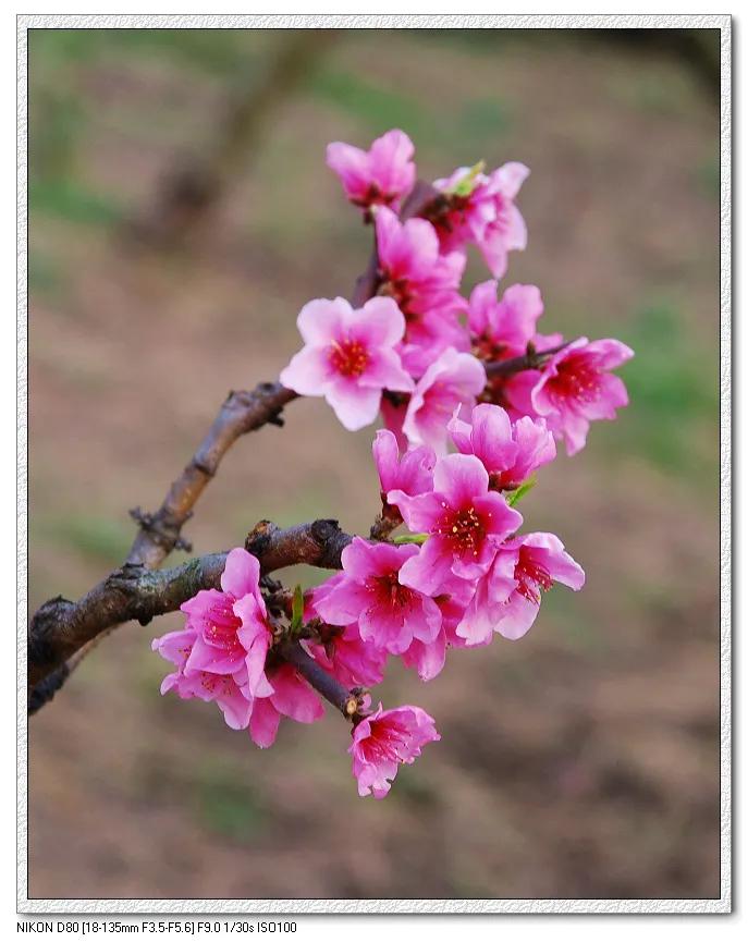 小姨子总是借钱该借吗,小姨子哭着来借钱