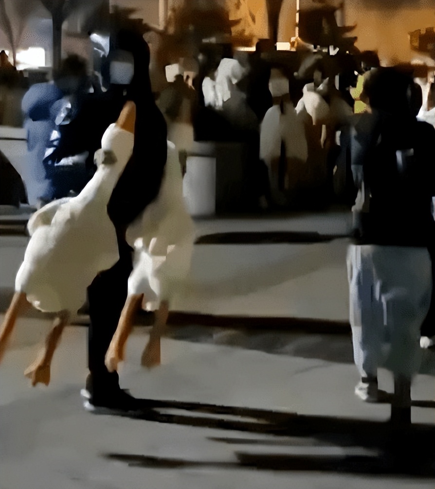 路边扫码领取大白鹅是套路吗,警惕扫码领大鹅