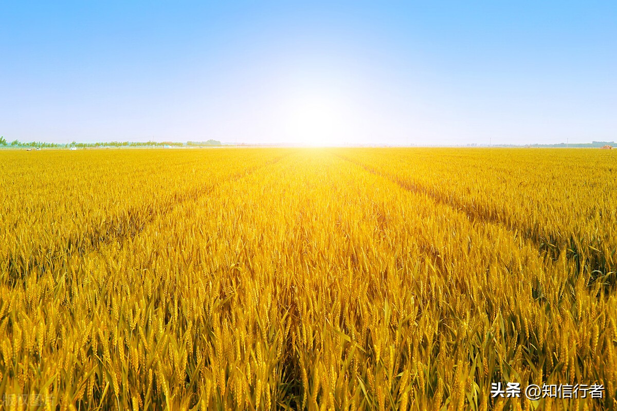 想发财就要先学会逆向思维模式,逆向思维赚钱是靠什么