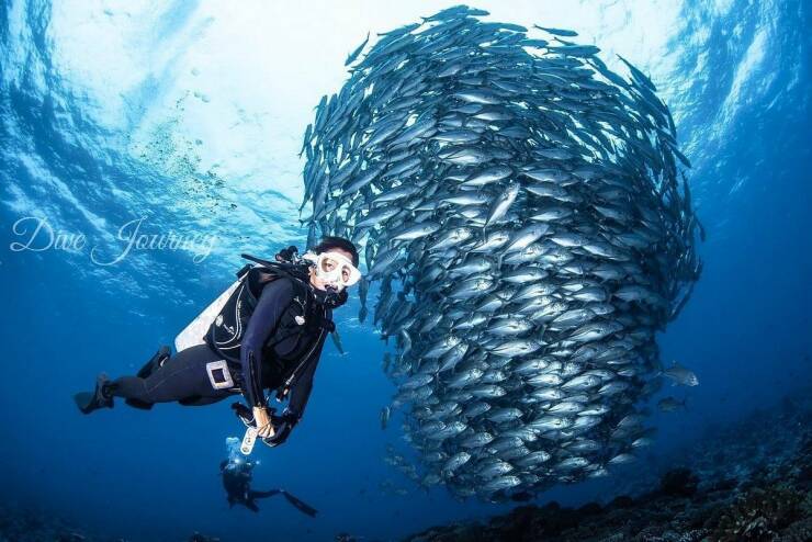 78个真实有趣的照片：山顶的足球场，老树与佛像，老司机脸部皮肤