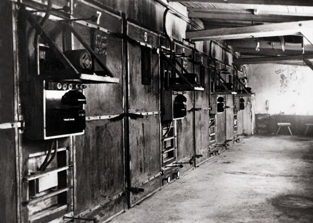 纳粹处决犹太人，两天枪毙三万多人，行刑前还拍照留念