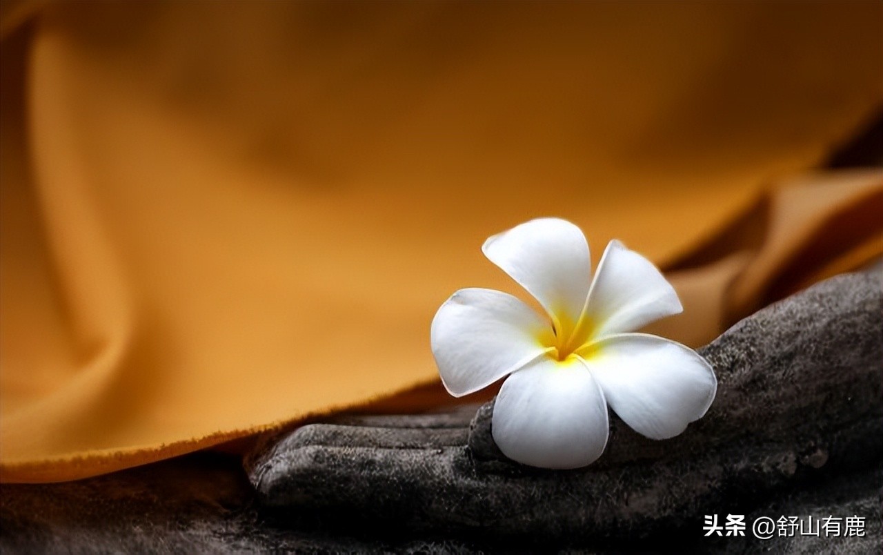 “贵人旺你,早有预示”:命中旺你的人,身怀这些气息