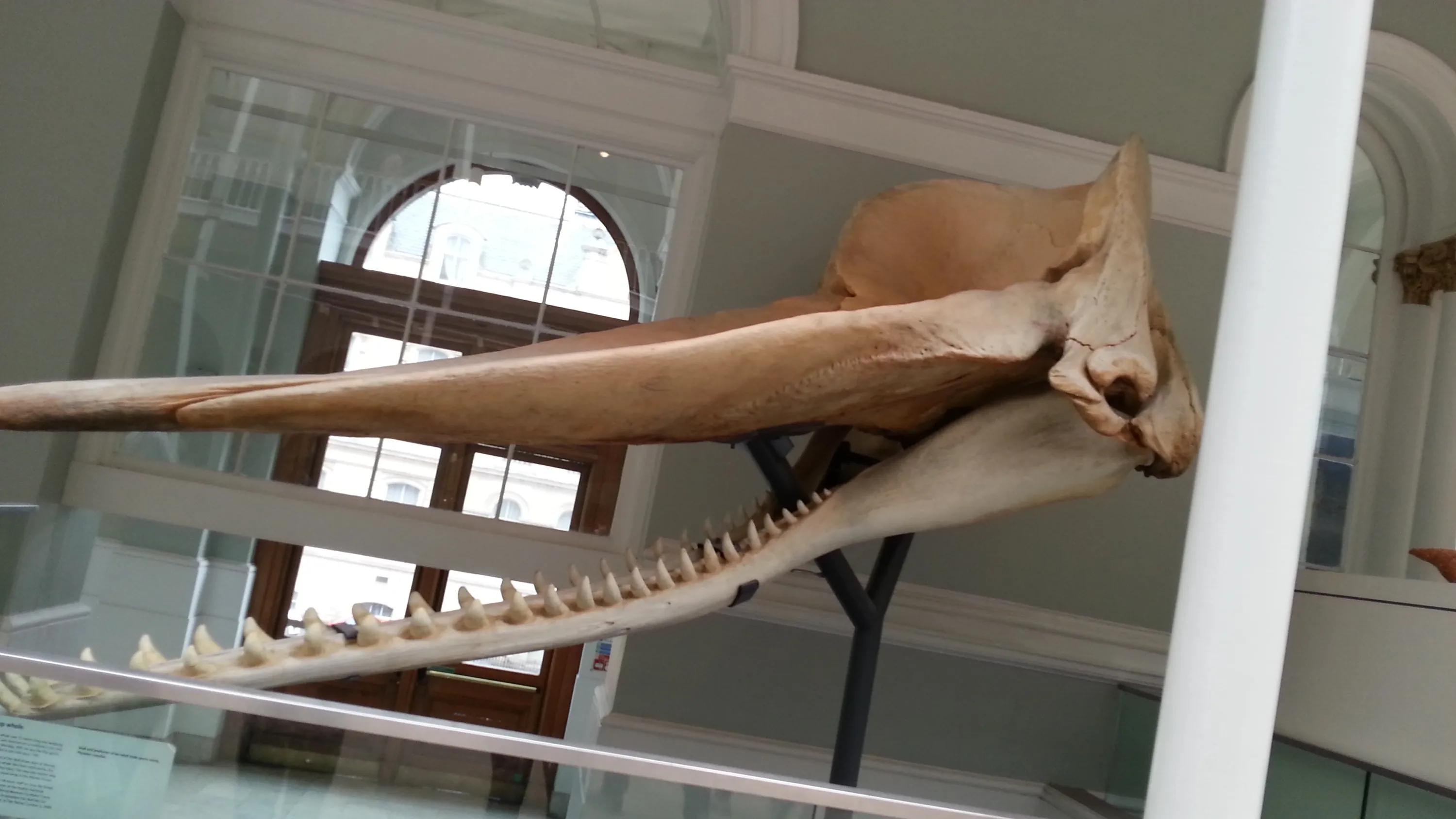 英国之旅第八九十天-爱丁堡