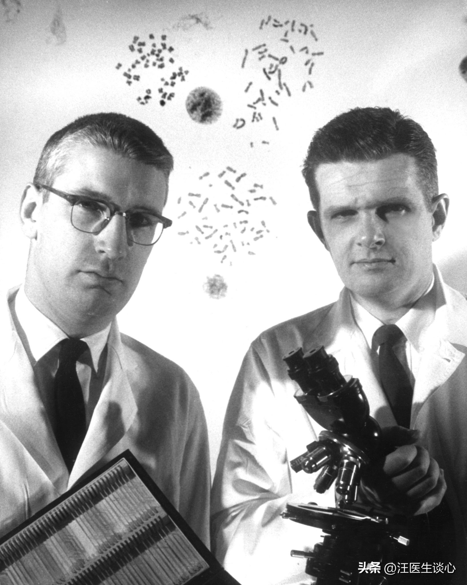 费城染色体阳性的急性髓系白血病,慢性粒细胞白血病的染色体标记