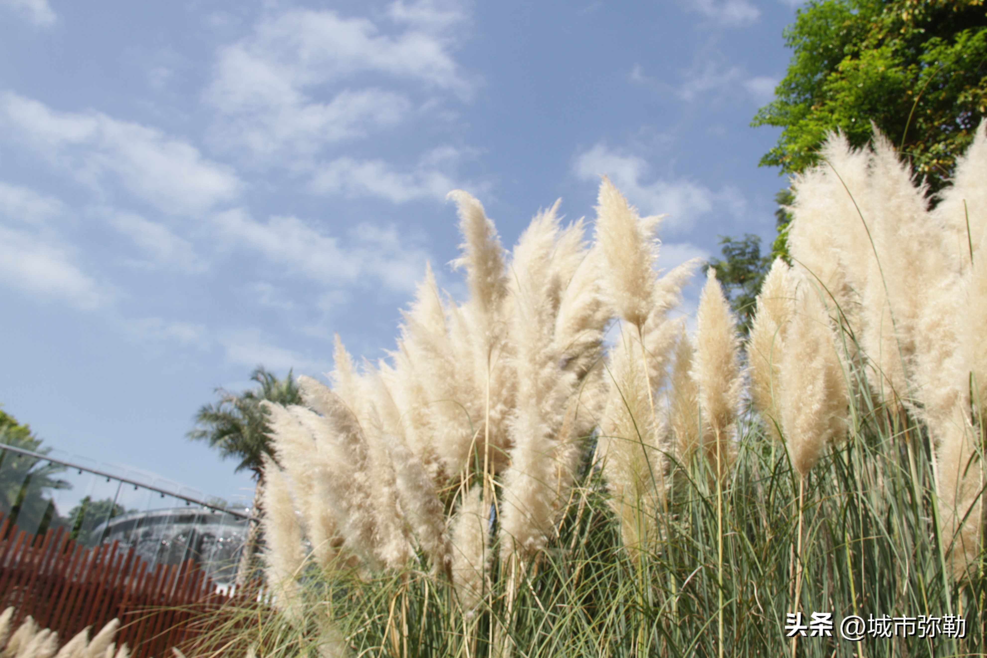 一个身家数亿的孝子马东升