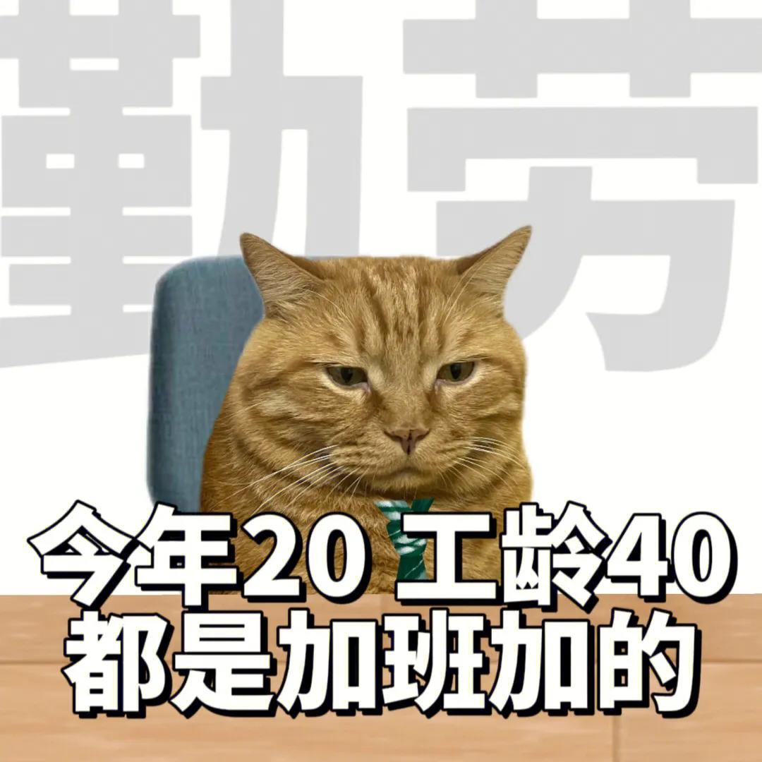 睡醒要上班下班要睡觉表情包,上班下班两副面孔表情包