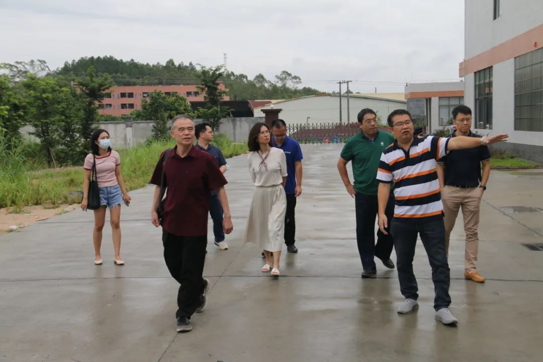 广东各市2019年生猪出栏数量,广东生猪养殖产业现状如何