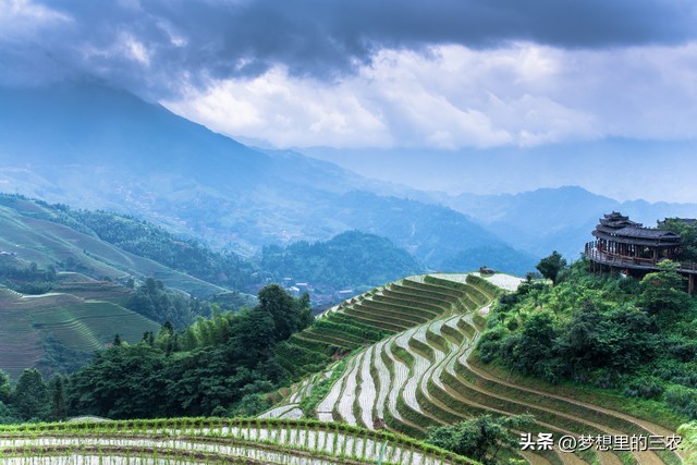 退耕还林守住绿水青山,国家对退林还耕的问题整治