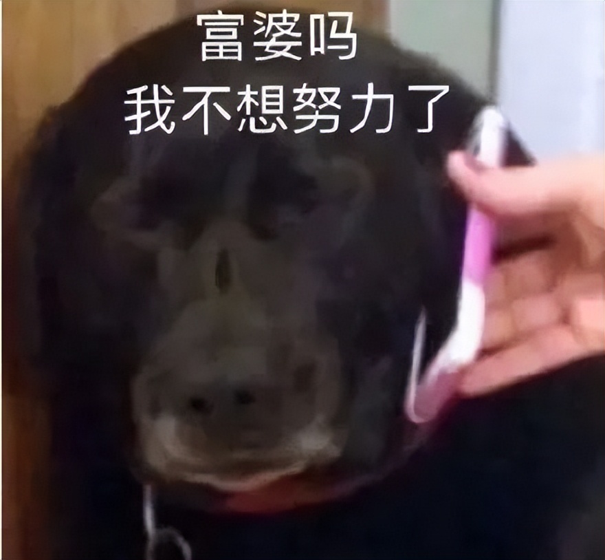 鐨囧鐚伯鑳戒笉鑳戒拱,涓嶆兂涔板搧鐗岀殑鐚伯