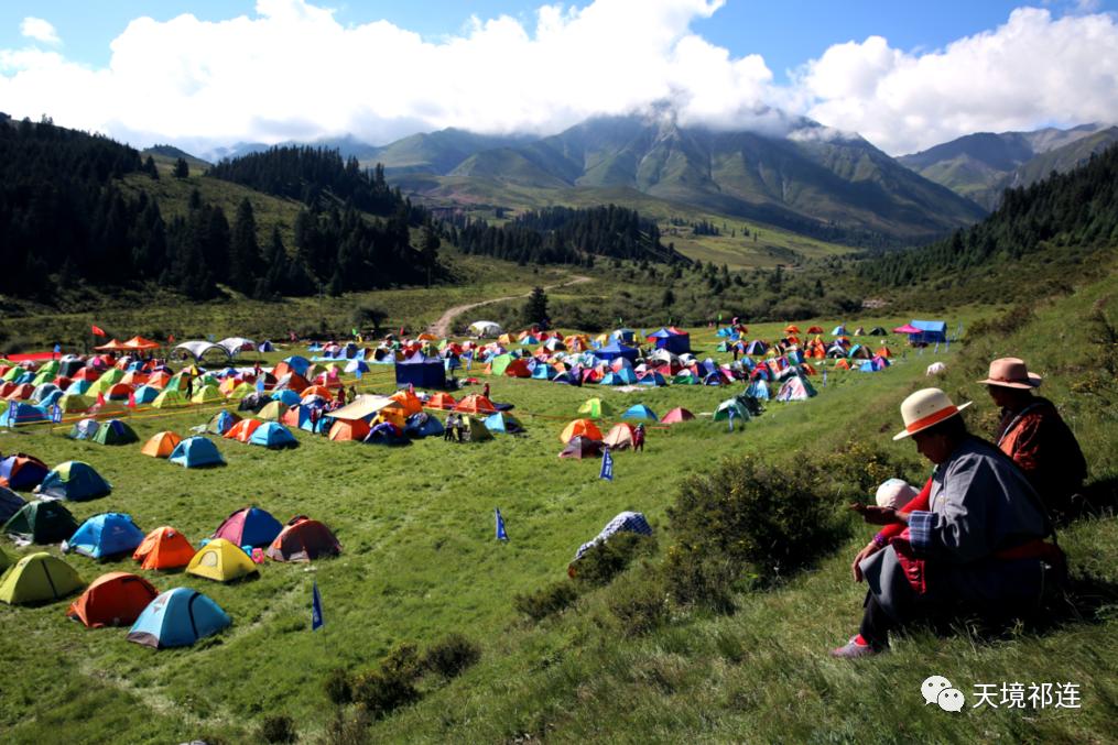 青海祁连山哪个位置最好,祁连山为什么一面森林一面草原
