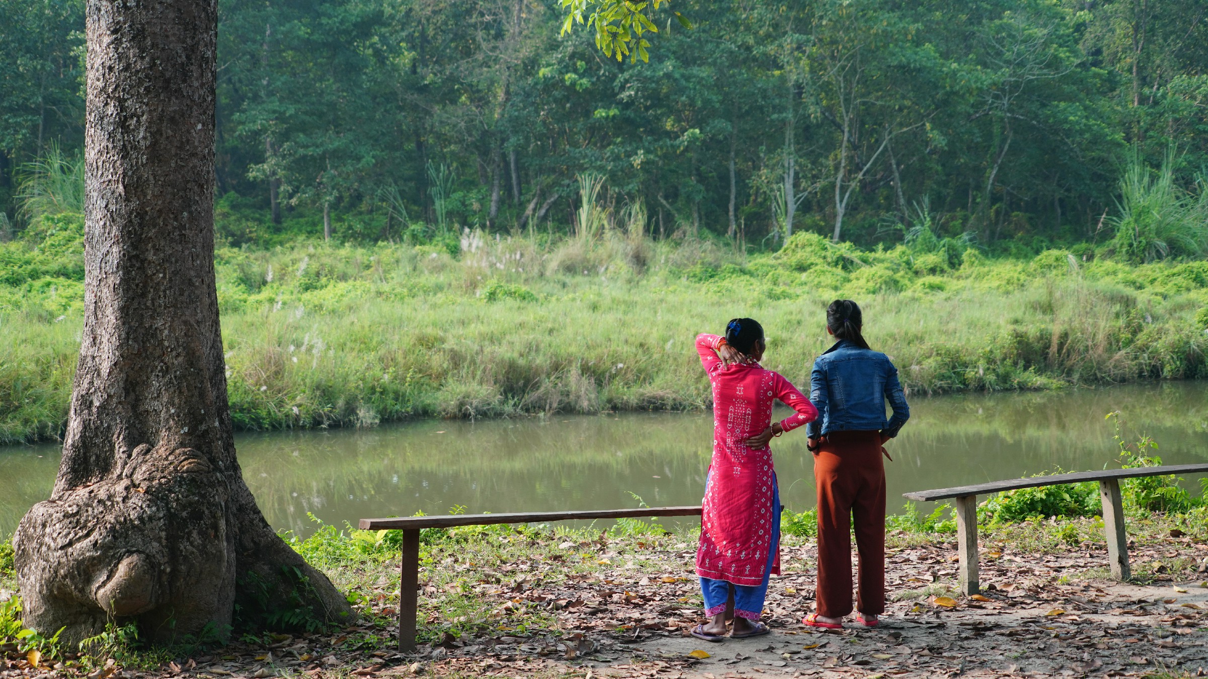 云中鹤游学,云中鹤户外