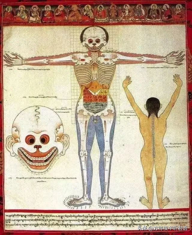 三大藏文化分别是唐卡,青海藏文化唐卡在几楼