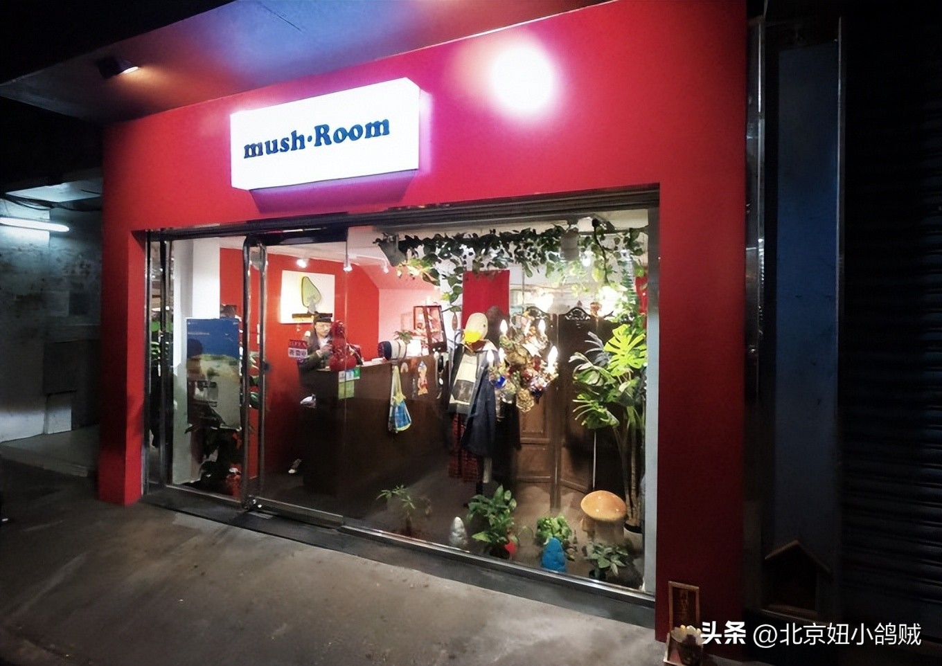 澳门值得去的三个地方 (澳门必去的一条街)