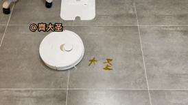 g10spure和p10pro哪个更值得入手,扫拖一体机器人评测石头g20