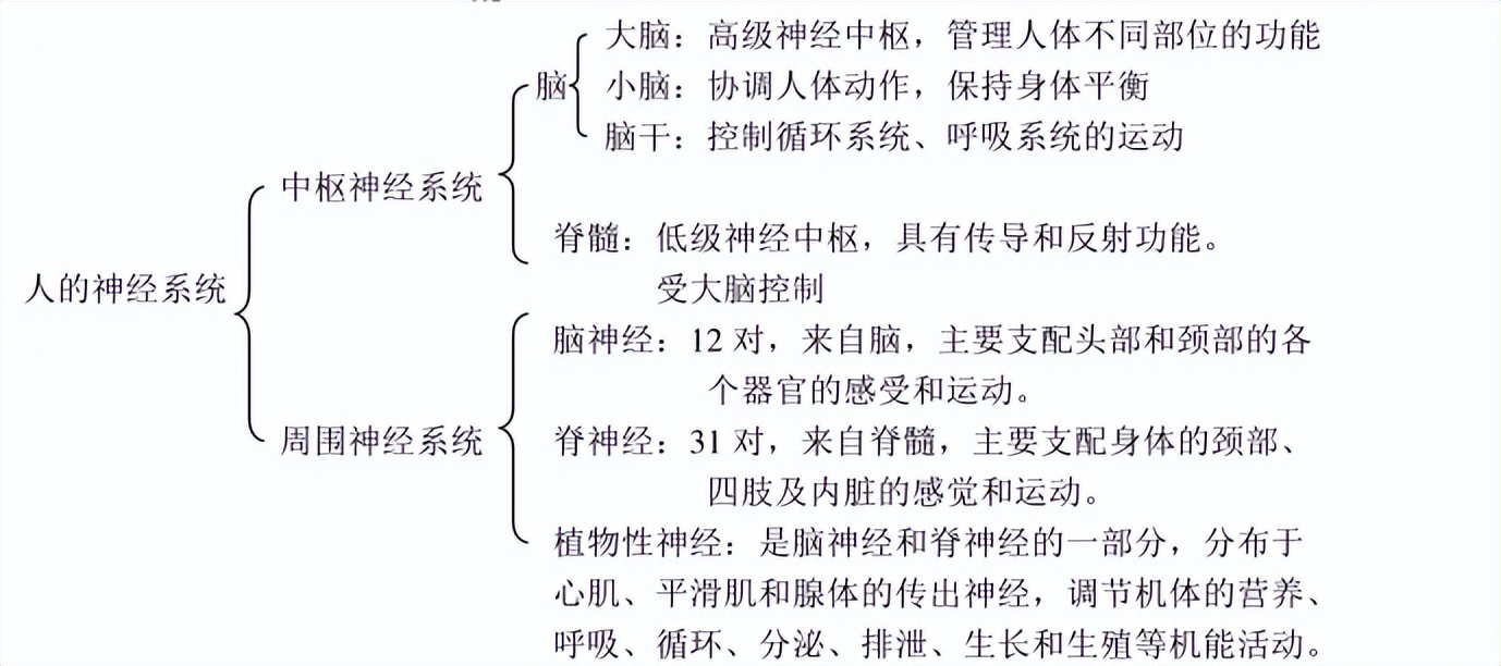 科学知识大全小学生必背,科学知识大全全集