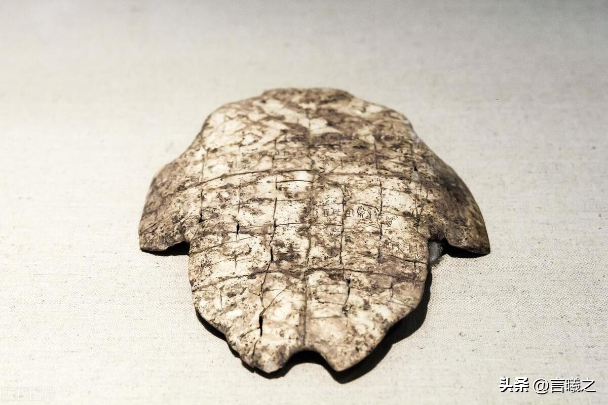 大象和豫字的关系,河南为什么叫豫和大象有什么关系