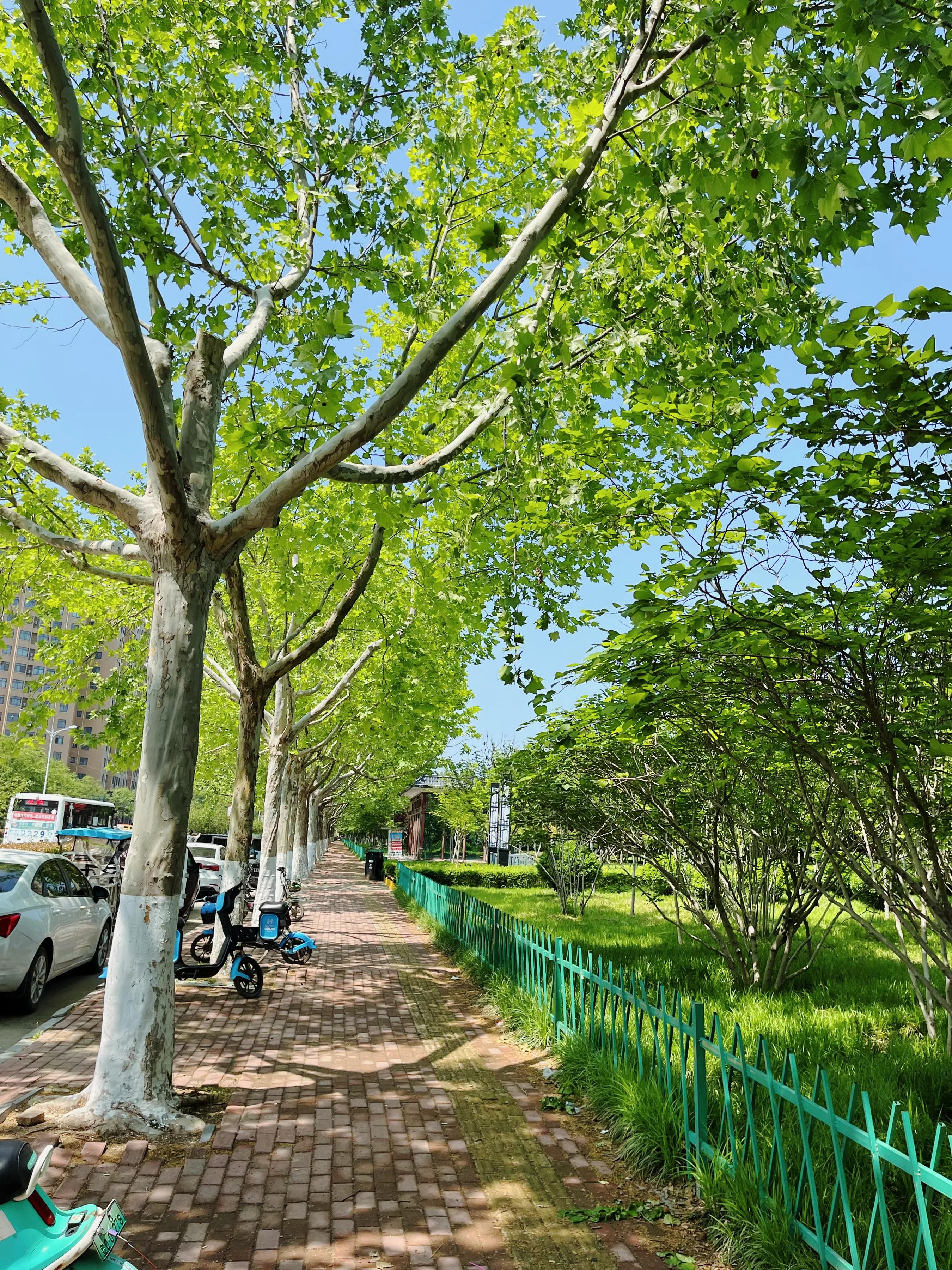 看我是怎么一步步把闺蜜变成车友的。