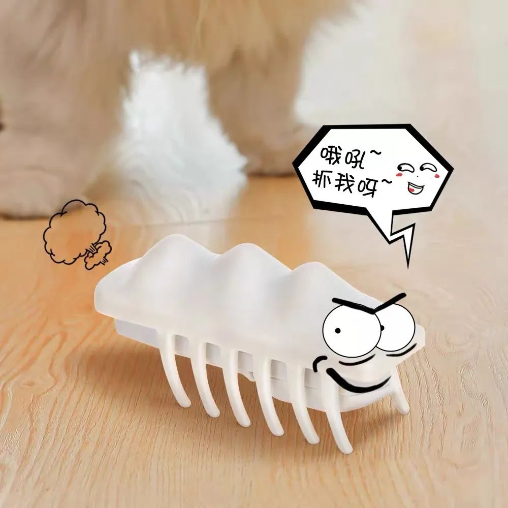 毛毛宠城堡新宠:登登|写给我的小猫咪