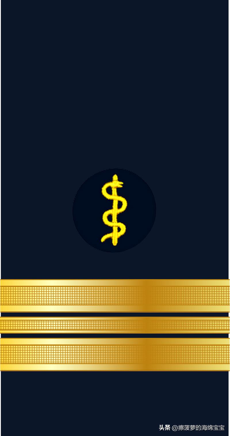 二战德国国防军医疗兵军衔标志