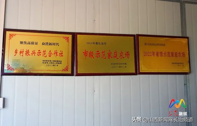 乡村振兴示范村主任,上党区郝家庄乡西下郝村