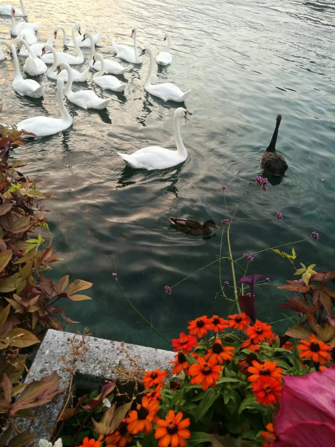 欧洲自由行慕尼黑,欧洲旅游自由行机票