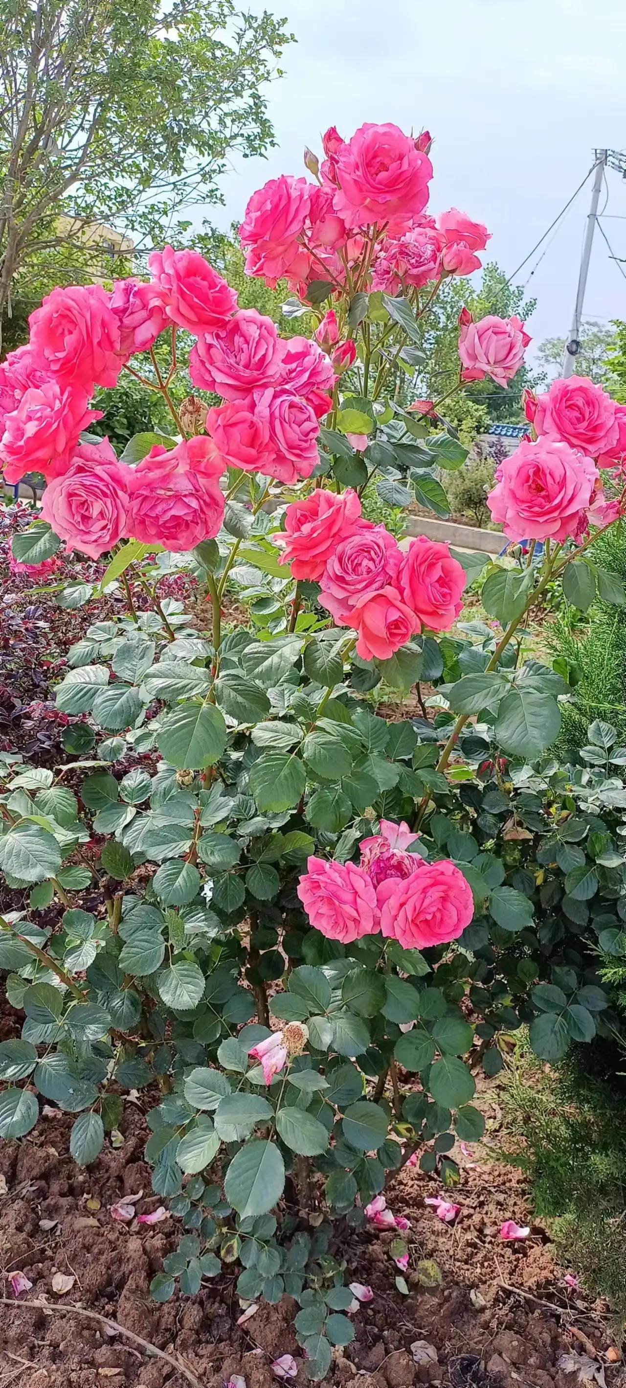 普通人的钱都是省出来的书单,钱到底是节约出来的还是挣出来的