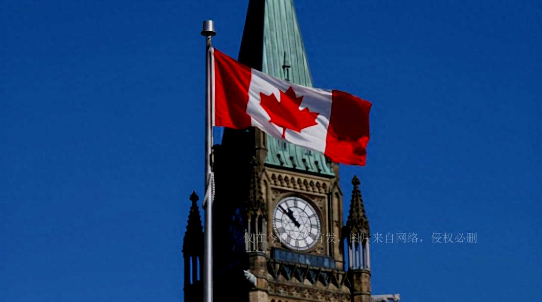 加拿大一名国会议员竟全裸出席会议，“艳照”流传全网，网友笑翻