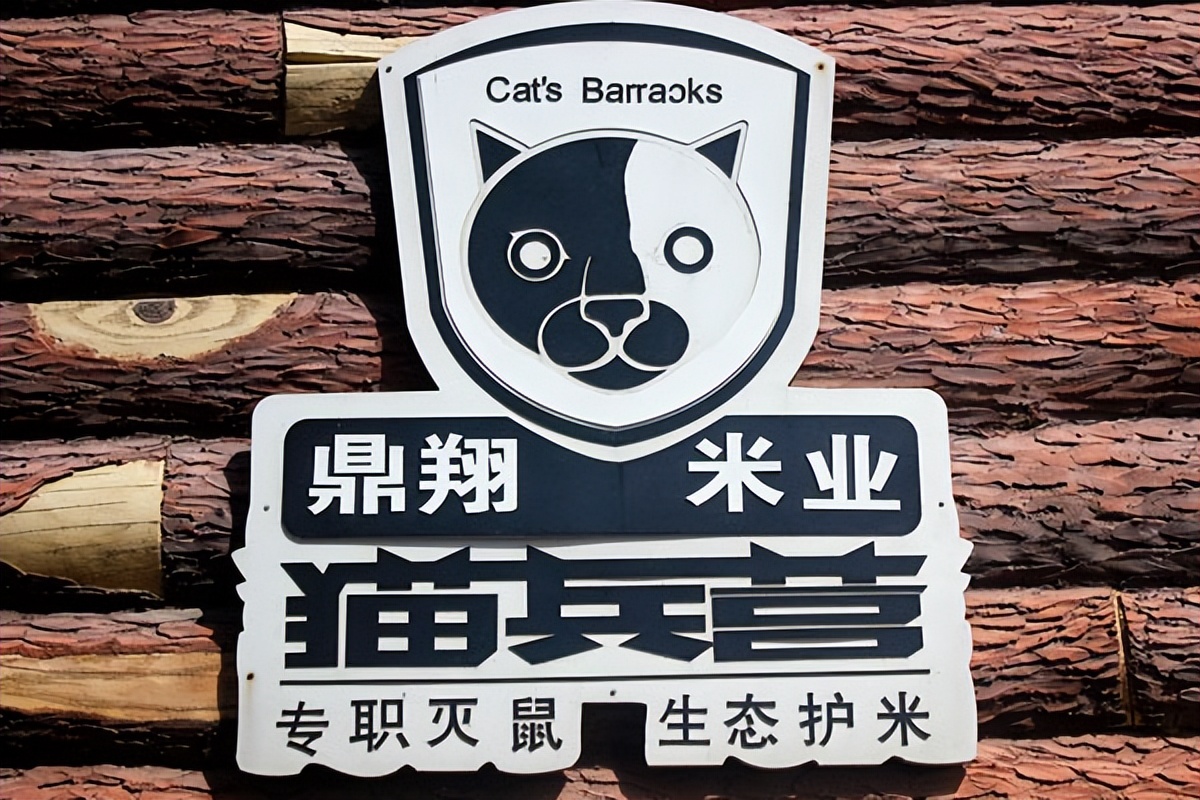 辽宁国家粮仓遭鼠患，员工训练流浪猫当兵入伍，厂内上演猫鼠大战