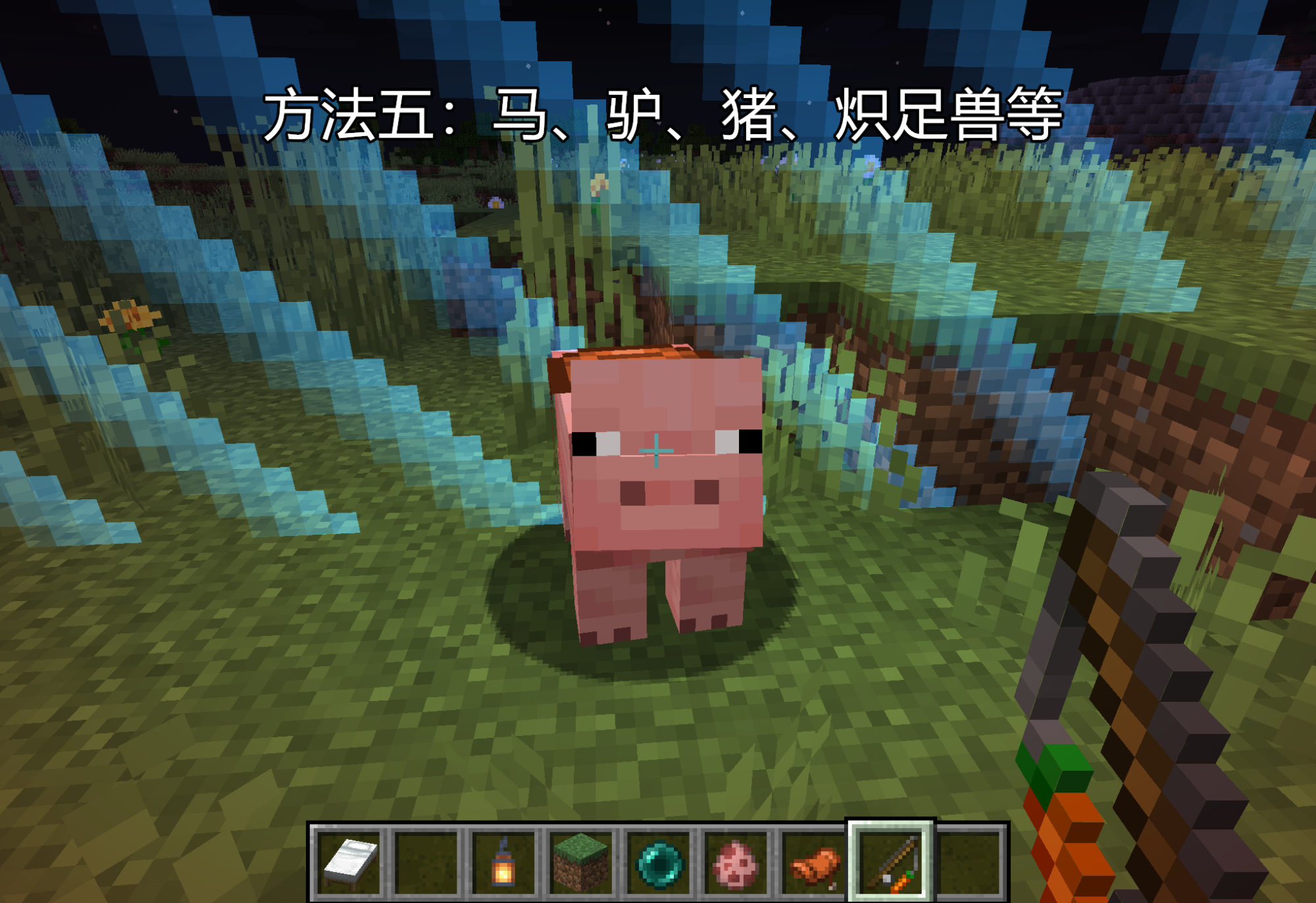 我的世界怎么去别人的地图,我的世界mc隐藏的4大秘密