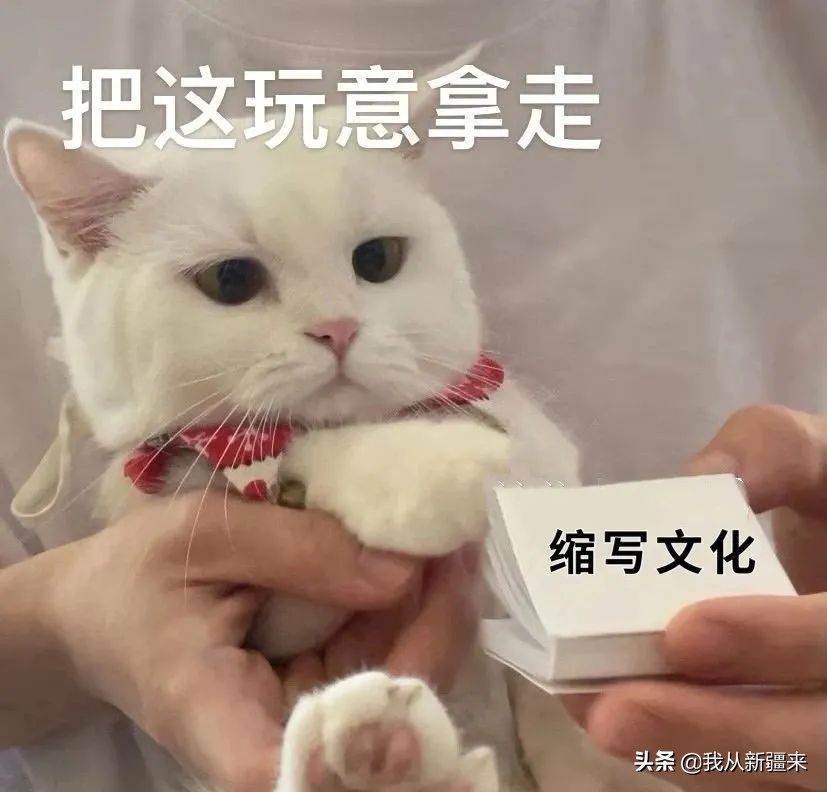 互联网大缩写时代，我们如何捡起传统文化