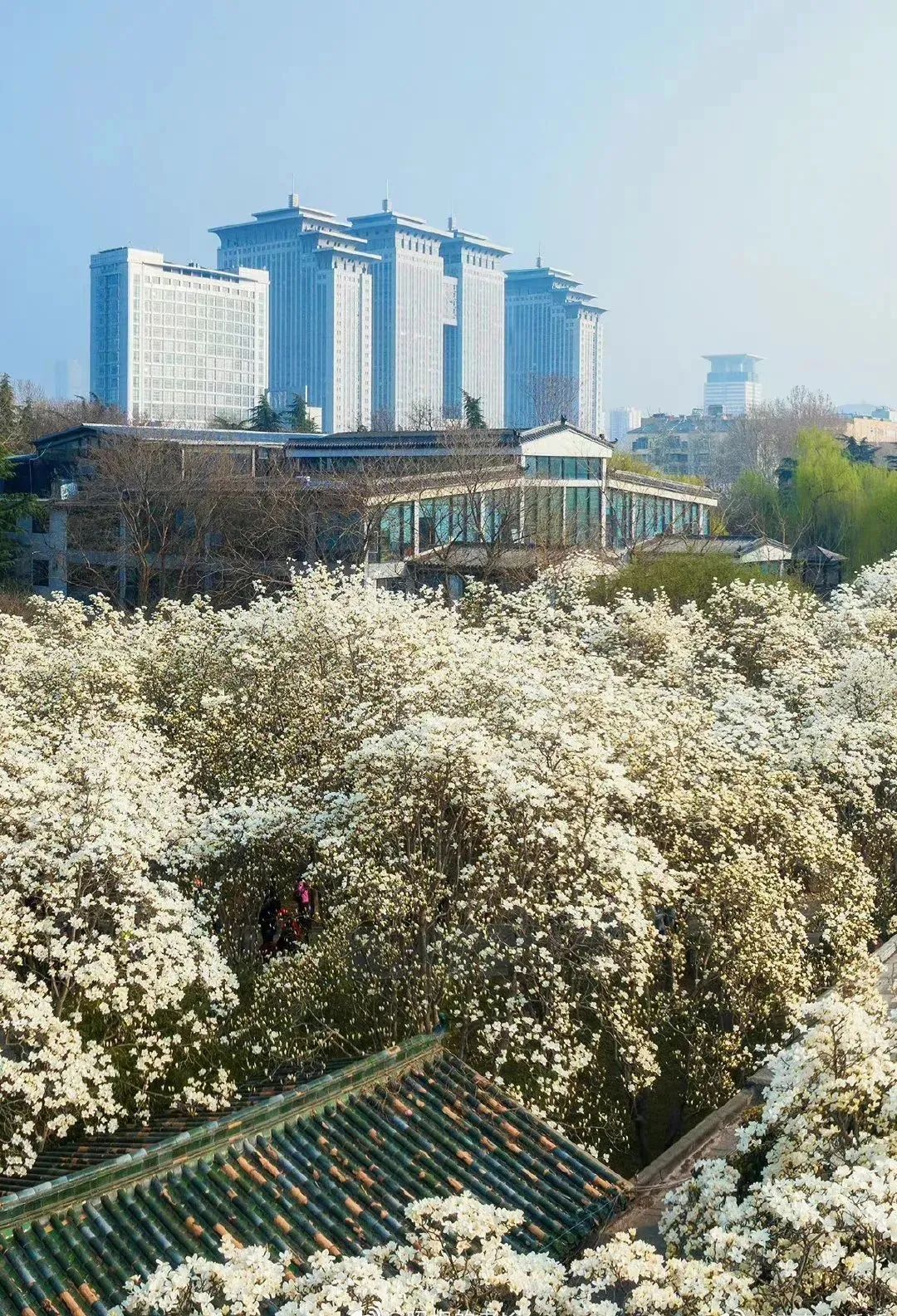 济南最火的几个网红景点打卡,济南网红打卡点景点