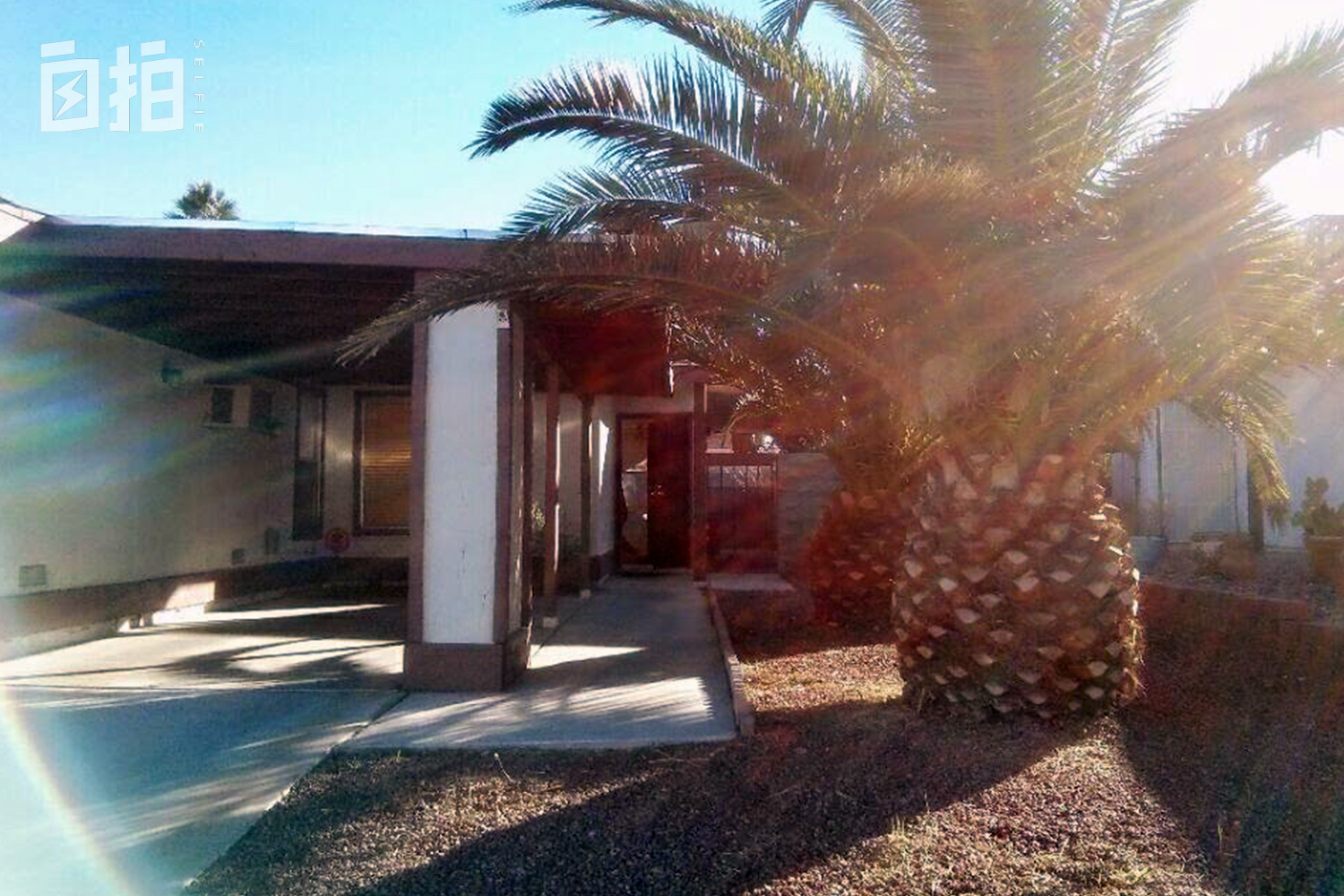 16岁农村女孩靠英语月入2万,16岁农村姑娘靠英语赚钱吗