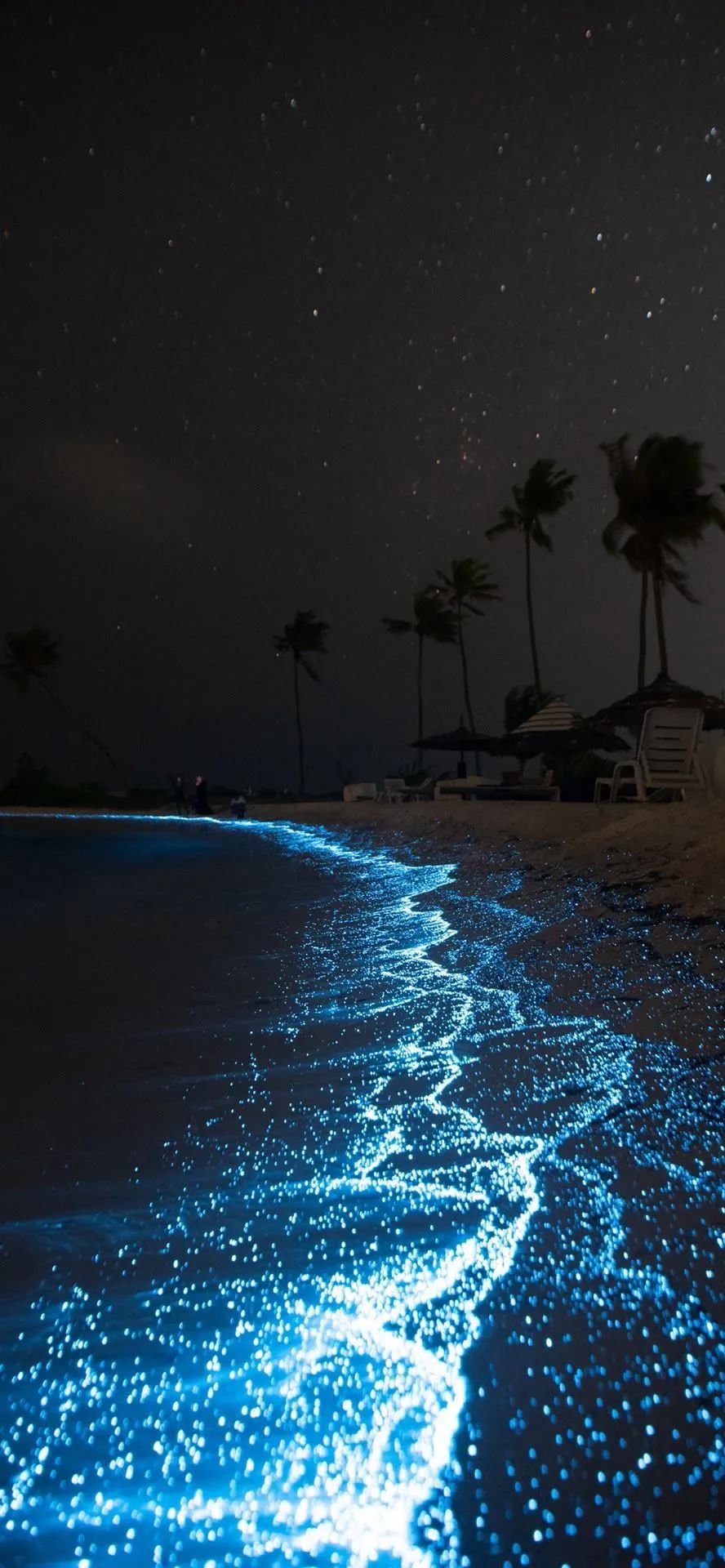 壁纸超清4k幸运壁纸,阴阳师壁纸动态壁纸高清全屏90帧