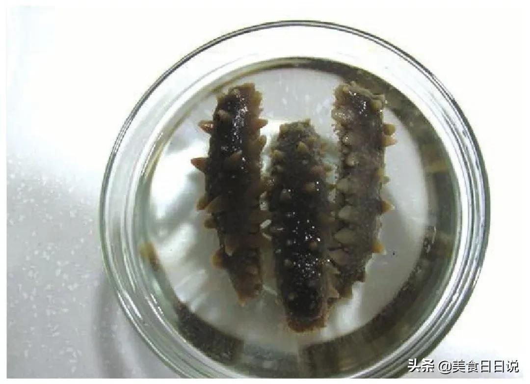 教你学正宗的海参做法,教学做菜海参