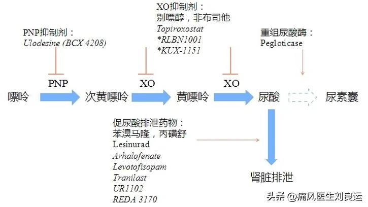 尿酸酶和非布司他,用了非布司他痛风持续发作