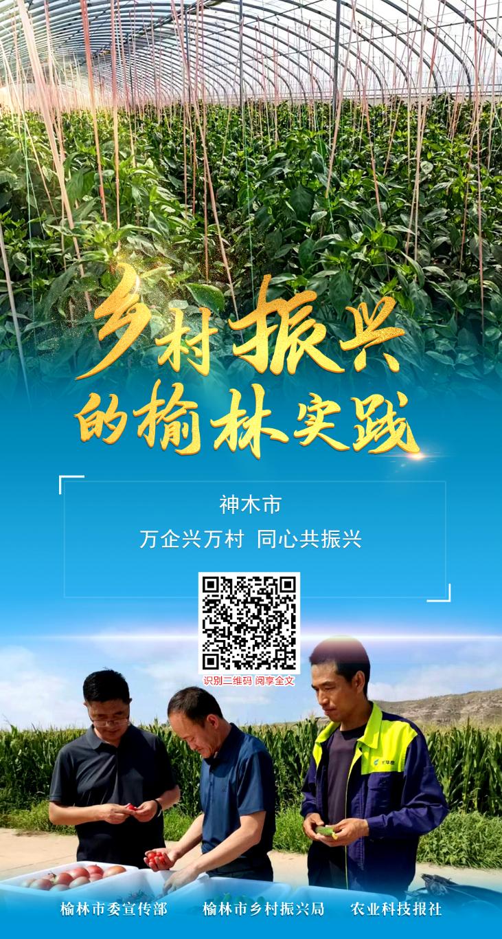 榆林市乡村振兴标杆,榆阳区乡村振兴体验馆