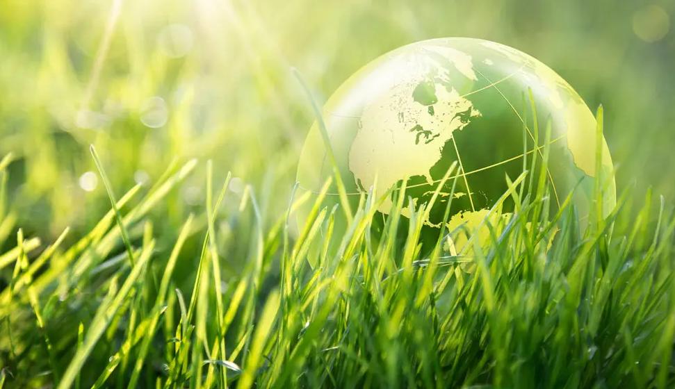 把10头公羊和10头母羊，放到有森林的孤岛上，10年后会怎么样？